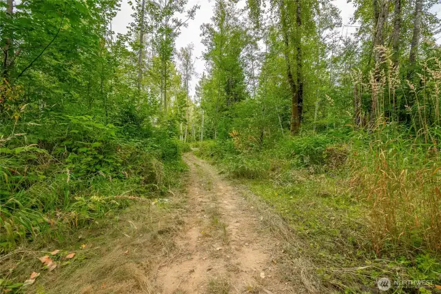 One of many trails throughout the property.