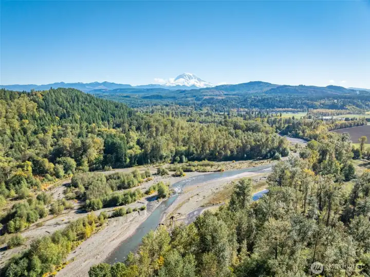 Carbon river, 30 miles and joins the Puyallup River at Orting.