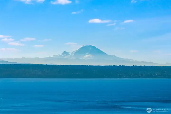 Mt. Rainier