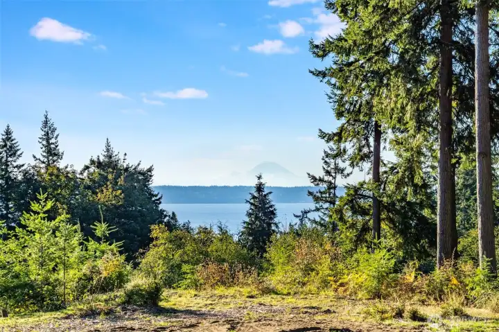 Mt Rainier Views - Southeastern view