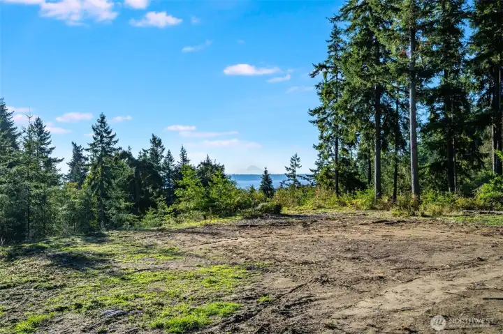 Mt Rainier Views - Southeastern view