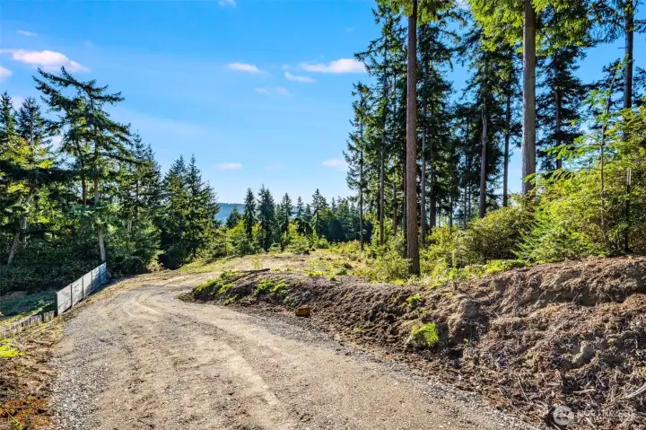 Kingston Court - driveway