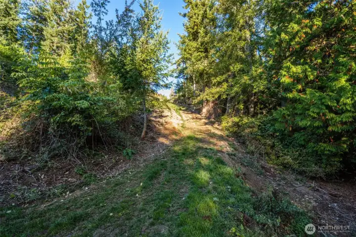 Looking up hill to upper level of property via walking path.
