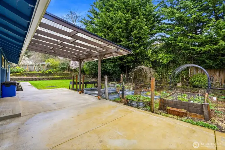 Large Backyard with Patio and Garden