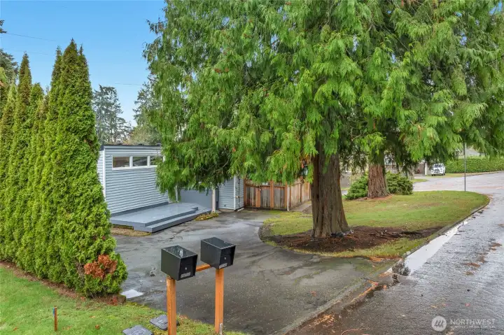 looking north west at   the house and front yard