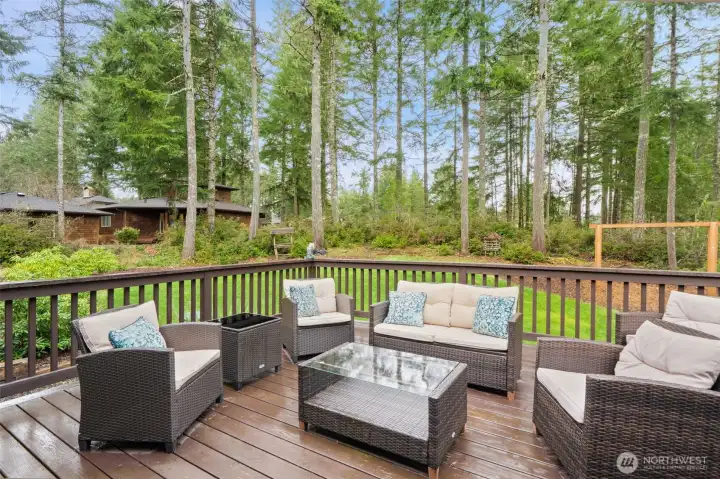 Awesome Deck with enough room for furniture and bbq!