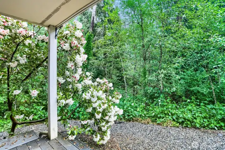 Private Patio w/ Greenbelt