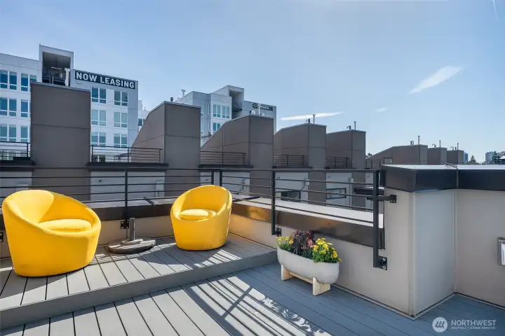 Spacious roof top deck with two levels and room for lounging, dining, or gardening.