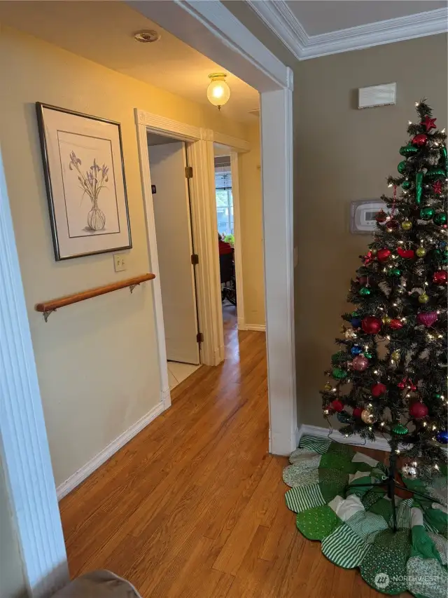 Entering the hallway from the living room that leads to 8 bedrooms and 2 baths