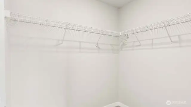 Spacious primary closet!