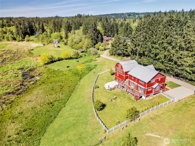 An aerial view of the fenced in portion of the 4.9 acres. Note the neighbor's cows in the background. With your permission, they may wander down and visit you, too!