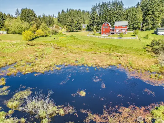 An iconic and special place, this could be your forever home!