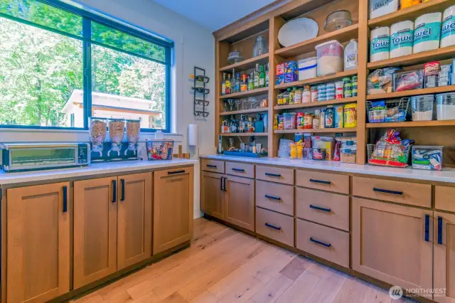 Not your typical pantry with vegetable bins and exta storage and outlets added