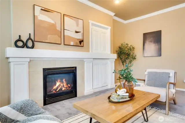 Gas fireplace and built in storage