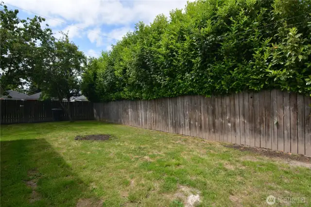 Fenced Back Yard