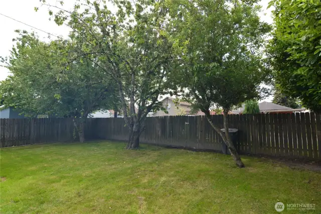 2 Apple & Cherry Tree