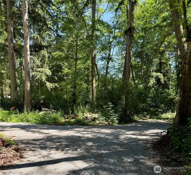 Branching drive providing access to property in two directions.