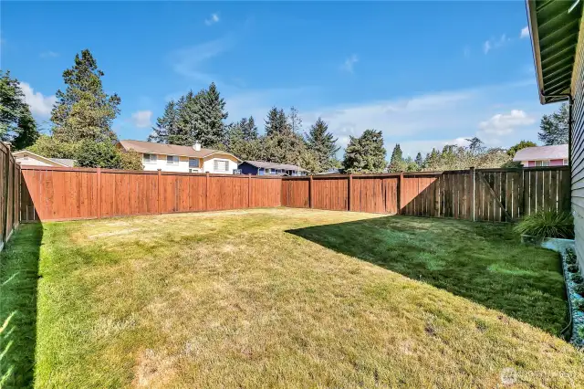 Large backyard