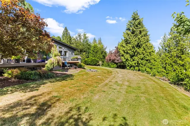 Private backyard in the City