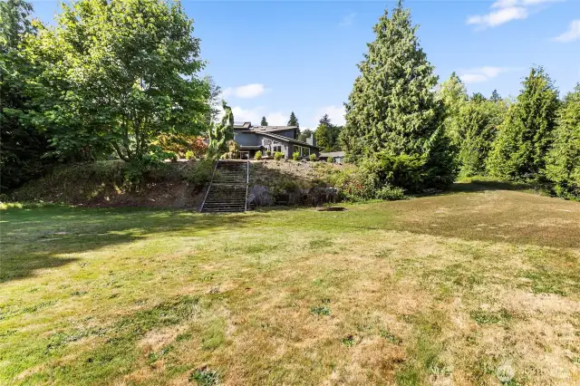 Lower level, backyard