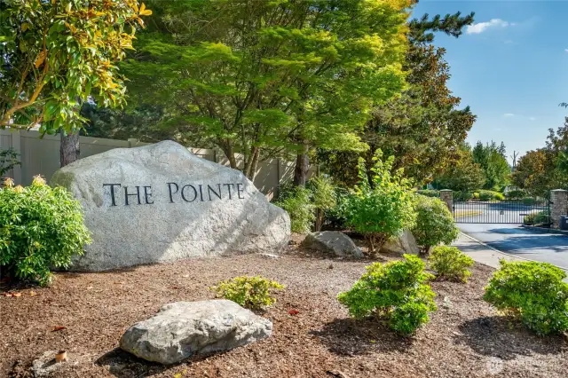 Life at The Pointe at Crosswater extends beyond your front door. Manicured grounds, walking trails, a park, social clubs, and a picnic area create a welcoming neighborhood atmosphere.