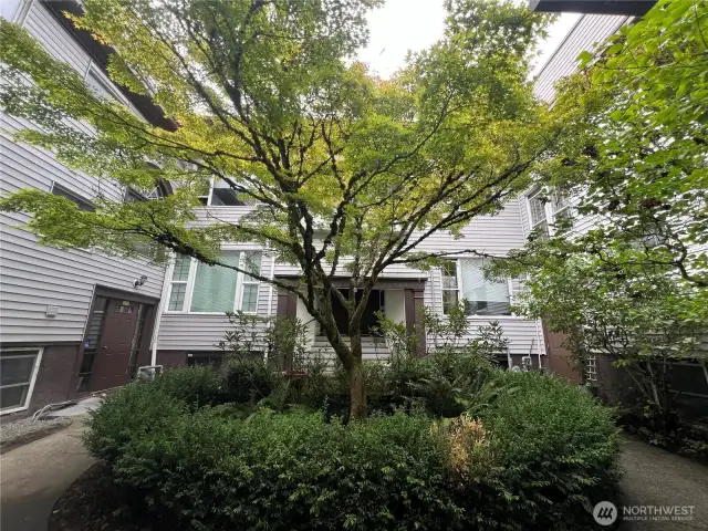 Adorable courtyard