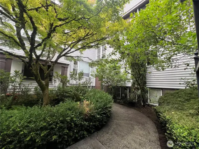 Adorable courtyard