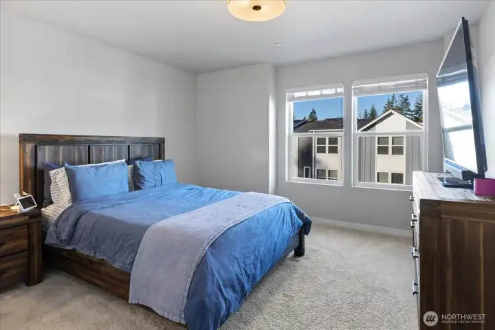 Large primary suite with walk-in closet on the 3rd level.