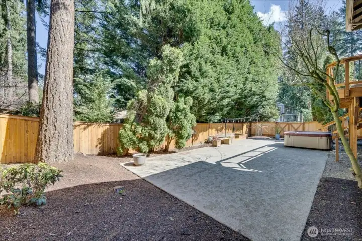 Backyard shot of the court... oversized patio!  Don't want to look into your neighbors yard?  You won't here! Very private.