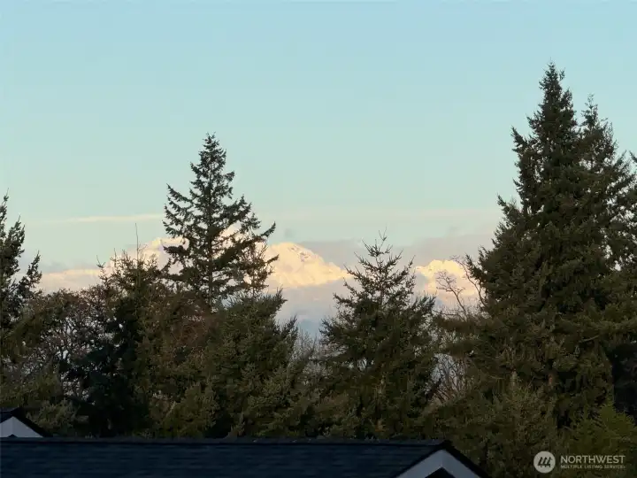 view from living room