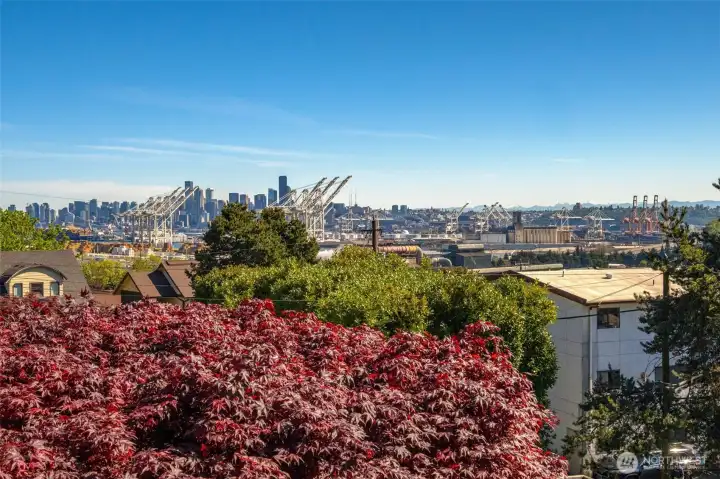 Forever views, taken from the deck.