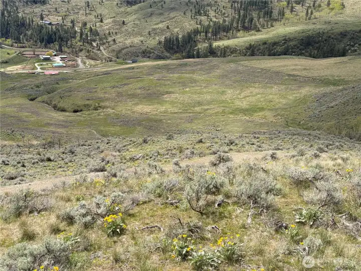 Looking down hill to the South.