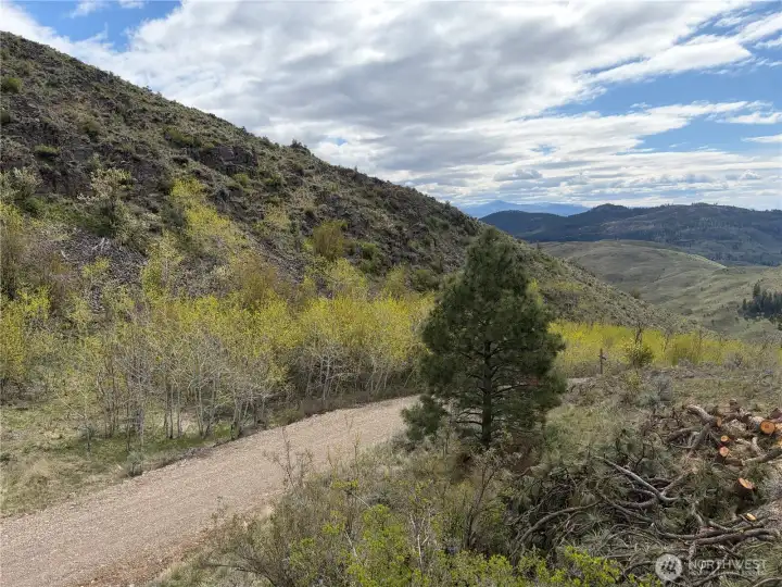 Looking SE from behind the bath house cabin.