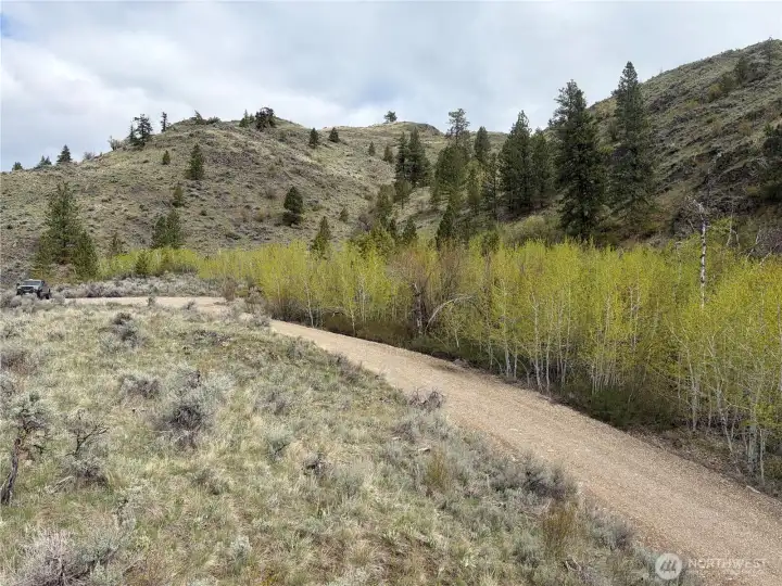 Looking NE towards the first flat and the aspen grove.