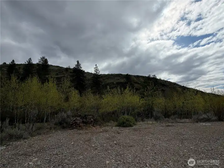 From the first slat site looking East towards the grove.
