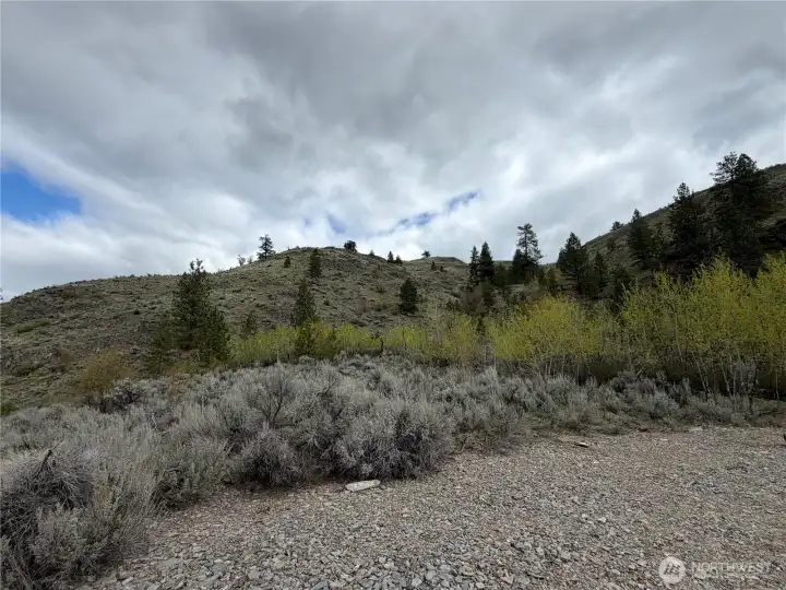 Edge of the first flat site, looking NE