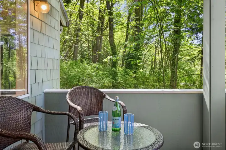 Covered deck off of the casual dining area/family room.