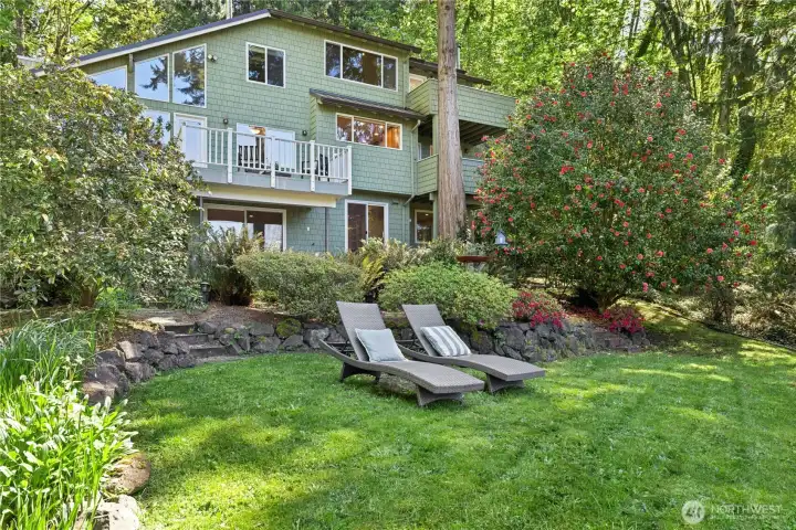 Mature landscaping includes a two story camellia shown here as well as apple and plum trees.