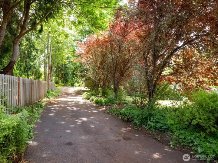 Greenery surrounds you as you walk the tranquil path toward the cabin. Greenery surrounds you as you walk the tranquil path toward the cabin.