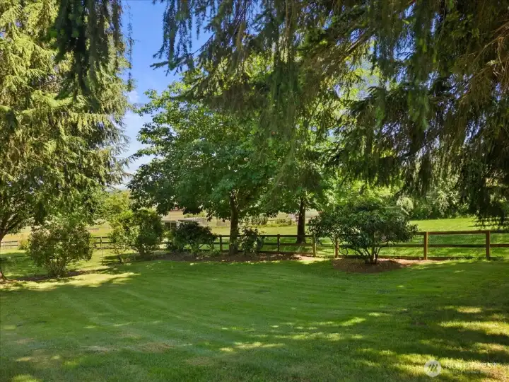 Serene back and side yard.