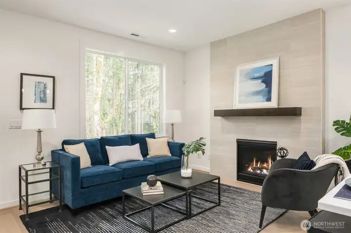 Gas fireplace