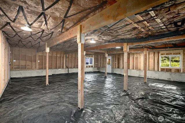 unfinished basement with great potential