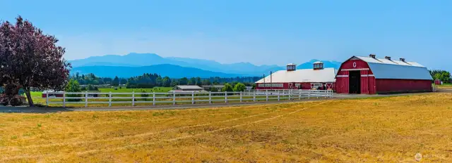 Wow ... stunning!