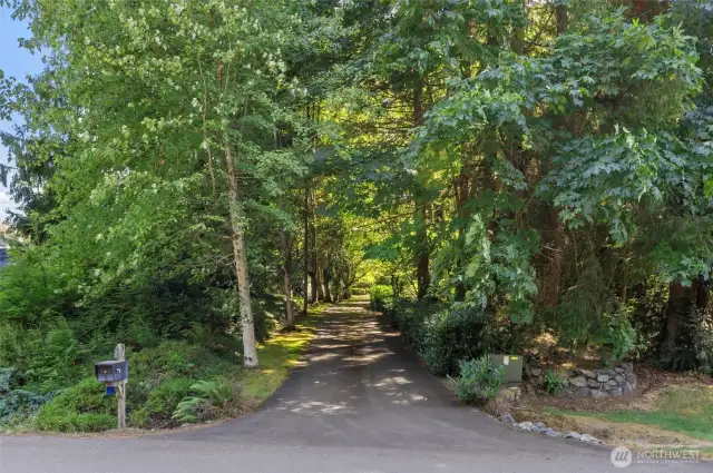The tree-lined driveway guides you to the home set well back from the street, in a peaceful and secluded setting surrounded by mature landscaping and natural beauty.