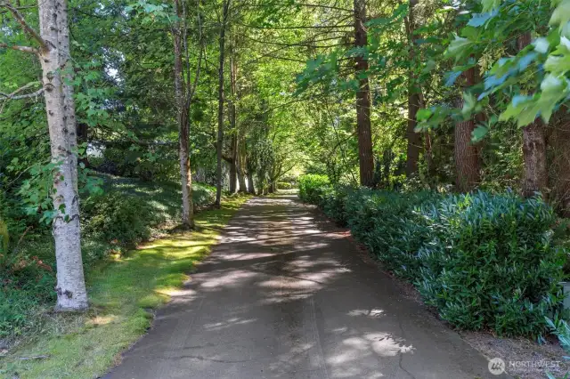 The tree-lined driveway guides you to the home set well back from the street, in a peaceful and secluded setting surrounded by mature landscaping and natural beauty.
