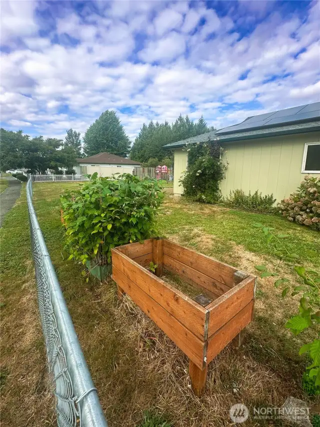 garden boxes in front