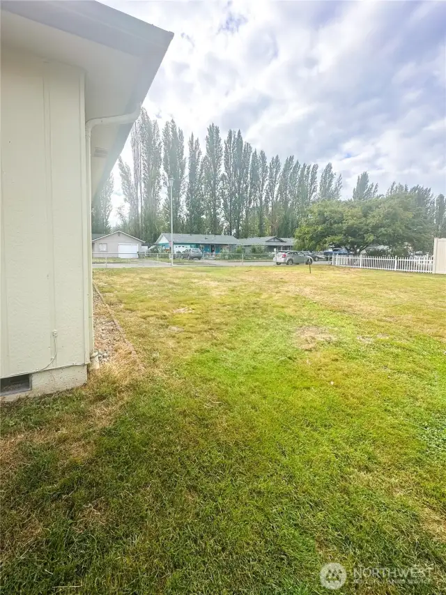 back yard