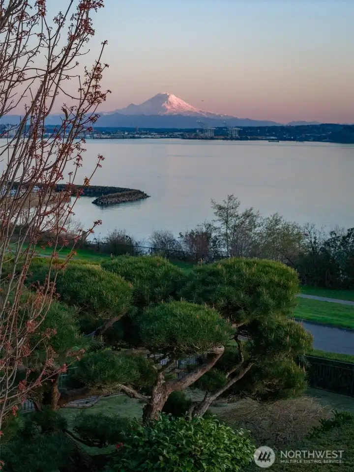 Mt Rainier is front and center, the Elliott Bay Marina in the foreground. This unobstructed view is protected in perpetuity. Watch the world float, steam and fly by. This vista from the home features Seattle, Mt. Rainier, Elliott Bay and the Olympic mountains. Quintessential PNW lifestyle.  A quick stroll to the Elliott Bay Marina for the sailing or boating crowd.