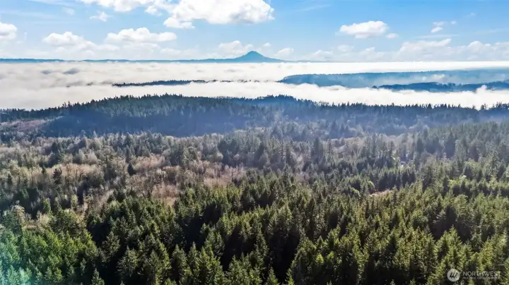 Mountain views in almost every room