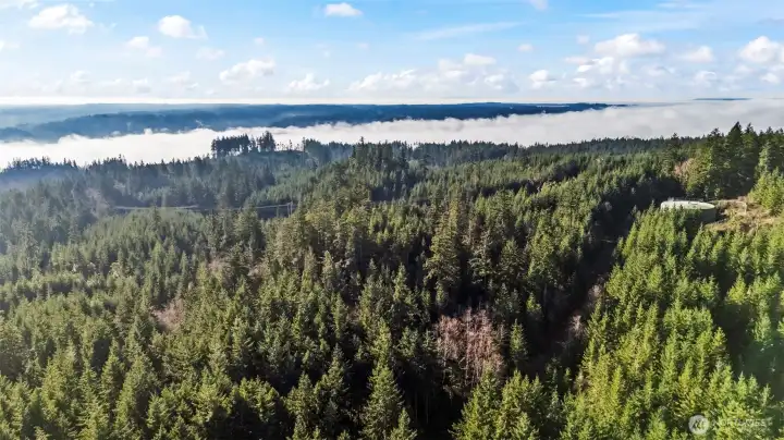 Trails throughout the neighborhood